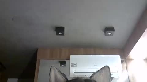 skinnykittencam online show from 12, 11, 2025