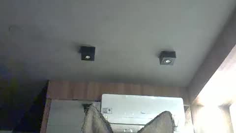 skinnykittencam online show from 15, 11, 2025