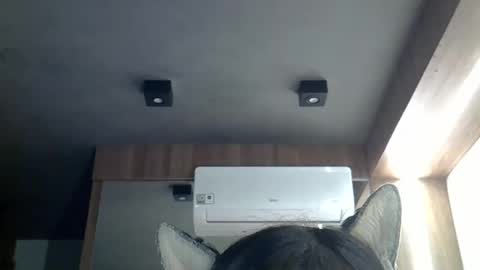 skinnykittencam online show from 2, 3, 2026