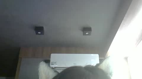 skinnykittencam online show from 24, 3, 2026
