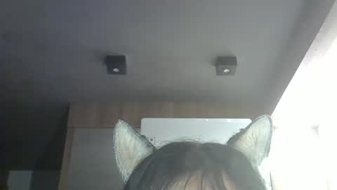 skinnykittencam online show from 28, 3, 2026