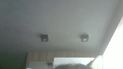 skinnykittencam online show from 29, 3, 2026