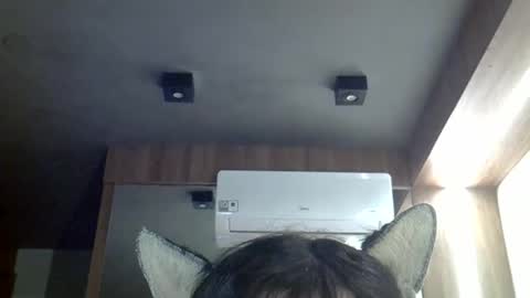 skinnykittencam online show from 3, 5, 2026
