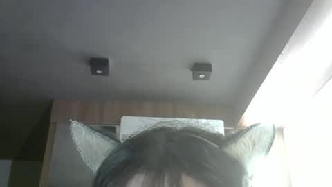 skinnykittencam online show from 4, 6, 2026