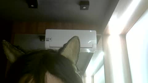 skinnykittencam online show from 7, 6, 2026
