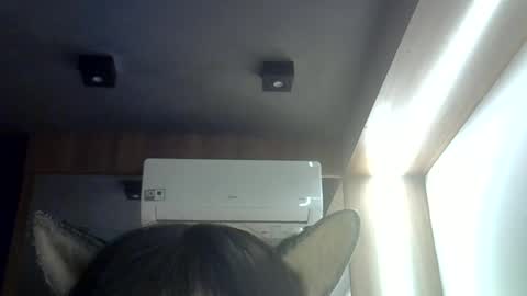 skinnykittencam online show from 16, 6, 2026
