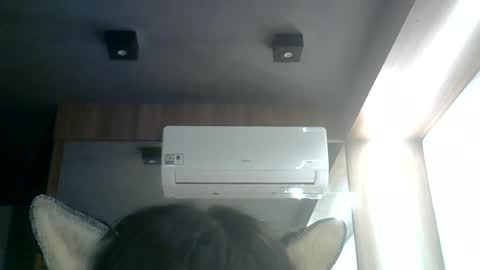 skinnykittencam online show from 17, 6, 2026