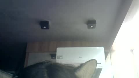 skinnykittencam online show from 23, 6, 2026