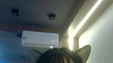 Snapshot of skinnykittencam chatting on 23, 6, 2026 skinnykittencam online show from 23, 6, 2026