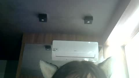 Snapshot of skinnykittencam chatting on 25, 6, 2026 skinnykittencam online show from 25, 6, 2026