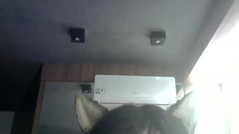 Snapshot of skinnykittencam chatting on 25, 6, 2026 skinnykittencam online show from 25, 6, 2026