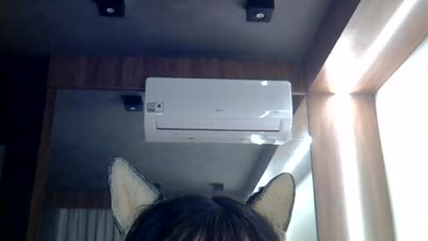 Snapshot of skinnykittencam chatting on 26, 6, 2026 skinnykittencam online show from 26, 6, 2026