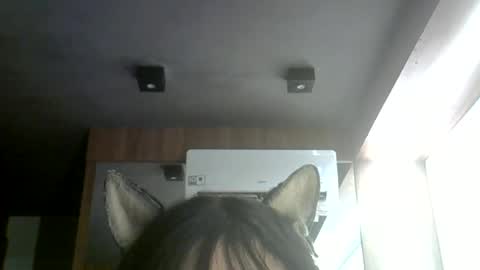 Snapshot of skinnykittencam chatting on 30, 6, 2026 skinnykittencam online show from 30, 6, 2026
