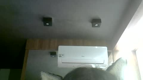 Snapshot of skinnykittencam chatting on 2, 7, 2026 skinnykittencam online show from 2, 7, 2026