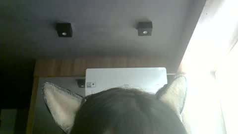 Snapshot of skinnykittencam chatting on 4, 7, 2026 skinnykittencam online show from 4, 7, 2026