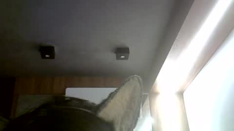 Snapshot of skinnykittencam chatting on 4, 7, 2026 skinnykittencam online show from 4, 7, 2026