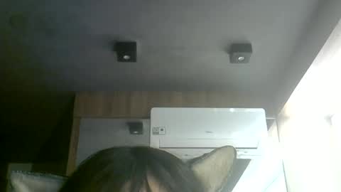 Snapshot of skinnykittencam chatting on 7, 7, 2026 skinnykittencam online show from 7, 7, 2026
