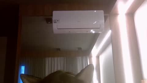 Snapshot of skinnykittencam chatting on 7, 7, 2026 skinnykittencam online show from 7, 7, 2026
