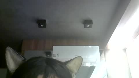 Snapshot of skinnykittencam chatting on 8, 7, 2026 skinnykittencam online show from 8, 7, 2026