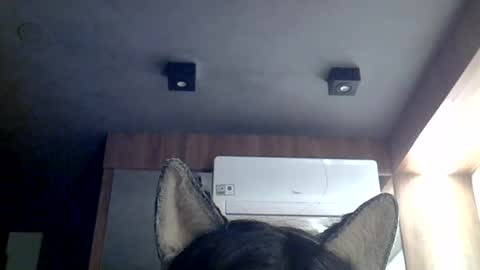 Snapshot of skinnykittencam chatting on 12, 7, 2026 skinnykittencam online show from 12, 7, 2026