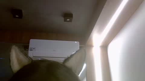 Snapshot of skinnykittencam chatting on 16, 7, 2026 skinnykittencam online show from 16, 7, 2026