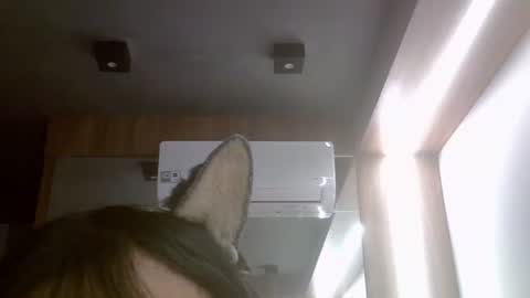 Snapshot of skinnykittencam chatting on 17, 7, 2026 skinnykittencam online show from 17, 7, 2026