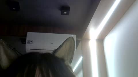 Snapshot of skinnykittencam chatting on 23, 7, 2026 skinnykittencam online show from 23, 7, 2026
