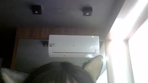 Snapshot of skinnykittencam chatting on 24, 7, 2026 skinnykittencam online show from 24, 7, 2026
