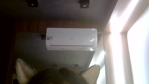Snapshot of skinnykittencam chatting on 25, 7, 2026 skinnykittencam online show from 25, 7, 2026