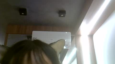 Snapshot of skinnykittencam chatting on 25, 7, 2026 skinnykittencam online show from 25, 7, 2026