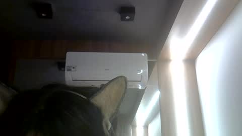 Snapshot of skinnykittencam chatting on 26, 7, 2026 skinnykittencam online show from 26, 7, 2026