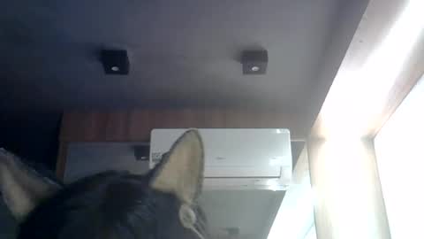 Snapshot of skinnykittencam chatting on 27, 7, 2026 skinnykittencam online show from 27, 7, 2026