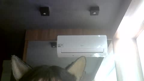 Snapshot of skinnykittencam chatting on 28, 7, 2026 skinnykittencam online show from 28, 7, 2026