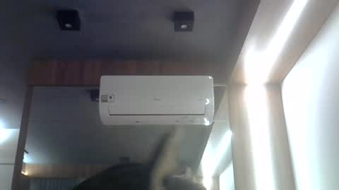 Snapshot of skinnykittencam chatting on 28, 7, 2026 skinnykittencam online show from 28, 7, 2026