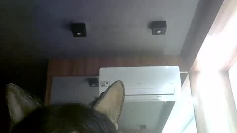 Snapshot of skinnykittencam chatting on 30, 7, 2026 skinnykittencam online show from 30, 7, 2026