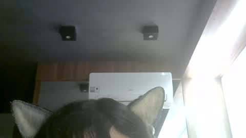 Snapshot of skinnykittencam chatting on 2, 8, 2026 skinnykittencam online show from 2, 8, 2026