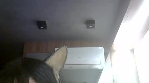 Snapshot of skinnykittencam chatting on 2, 8, 2026 skinnykittencam online show from 2, 8, 2026