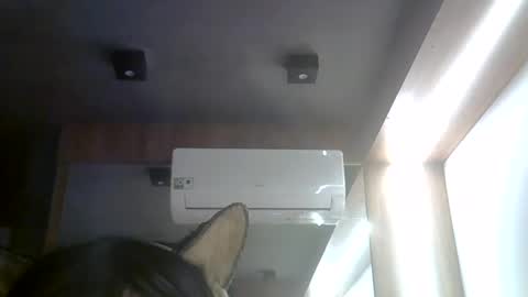 Snapshot of skinnykittencam chatting on 3, 8, 2026 skinnykittencam online show from 3, 8, 2026