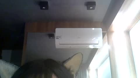 Snapshot of skinnykittencam chatting on 5, 8, 2026 skinnykittencam online show from 5, 8, 2026
