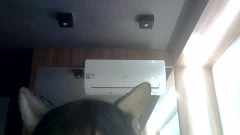 Snapshot of skinnykittencam chatting on 6, 8, 2026 skinnykittencam online show from 6, 8, 2026