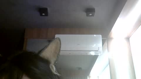Snapshot of skinnykittencam chatting on 7, 8, 2026 skinnykittencam online show from 7, 8, 2026