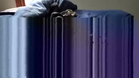 Snapshot of slappincheeks299 chatting on 28, 10, 2025 slappincheeks299 online show from 28, 10, 2025