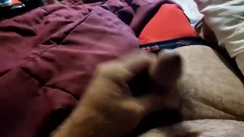 slitlicke69696969 online show from 20, 10, 2025