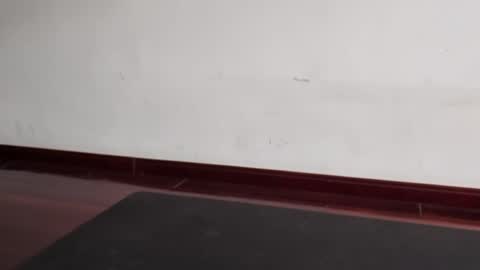 Snapshot of slutfactor chatting on 31, 3, 2026 slutfactor online show from 31, 3, 2026