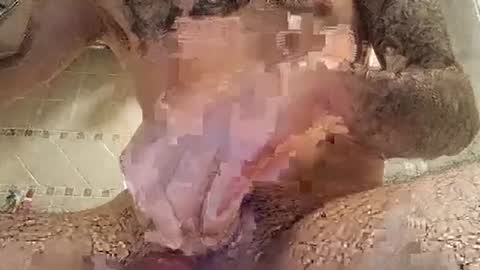 Snapshot of smallone8825 chatting on 10, 3, 2025 smallone8825 online show from 10, 3, 2025