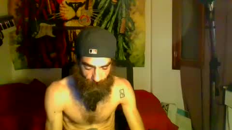 willy online show from 12, 1, 2025