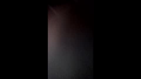 Snapshot of smokewagon22 chatting on 29, 12, 2024 smokewagon22 online show from 29, 12, 2024