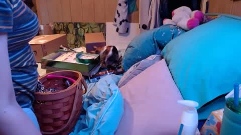 DIAN dee-ann online show from 24, 12, 2024