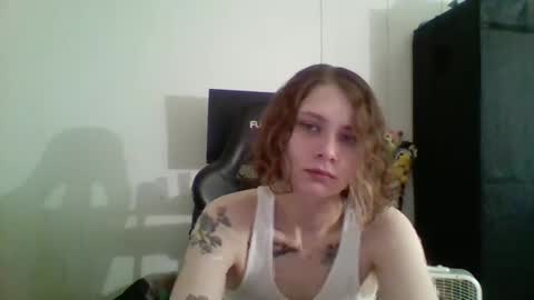 Bambi--Vodka online show from 2, 12, 2024