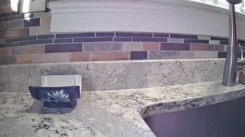 Snapshot of smthbtm53 chatting on 14, 3, 2026 smthbtm53 online show from 14, 3, 2026